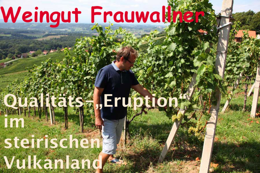 Weingut Frauwallner Titel 900